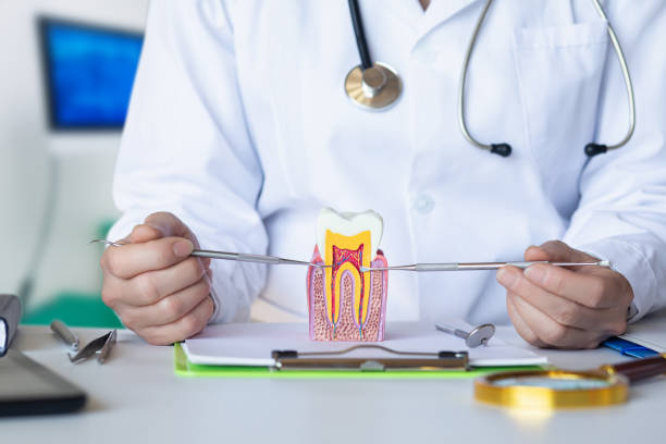 Best Knocked-Out Tooth Emergency  in Sevierville, TN